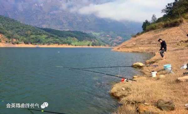 在水库怎么样钓鱼，在水库里怎么钓！-图2