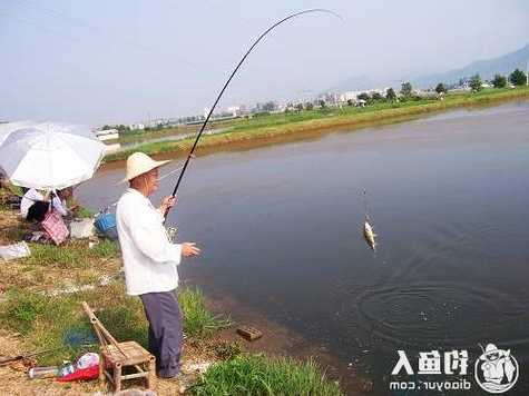 江河湖钓鱼怎么样？江河水库可以钓鱼吗？-图3