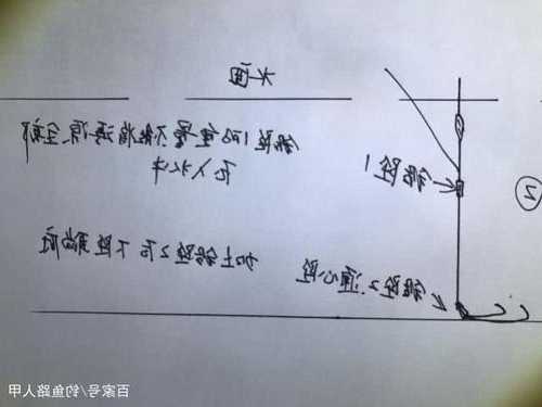 怎么样钓鱼才能更好，钓鱼怎么样钓！-图2