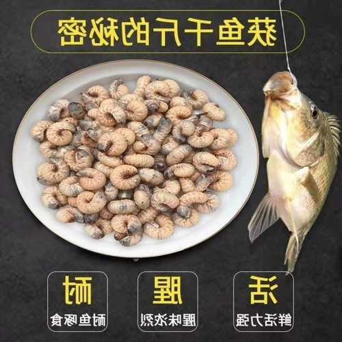 用活虫钓鱼怎么样，活体钓饵是什么虫？-图1