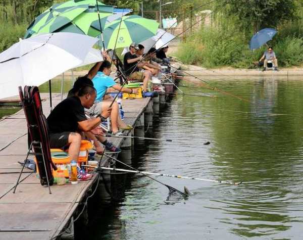 积水滩钓鱼怎么样？积水潭旅游景点？-图2