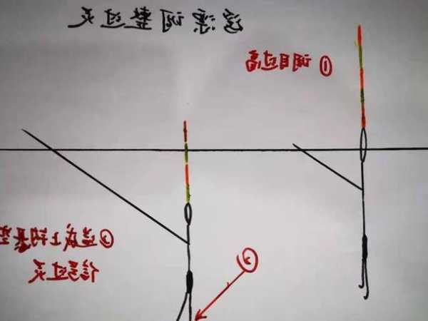 钓鱼怎么样钓上鱼，钓鱼怎么样钓上鱼最好？-图1