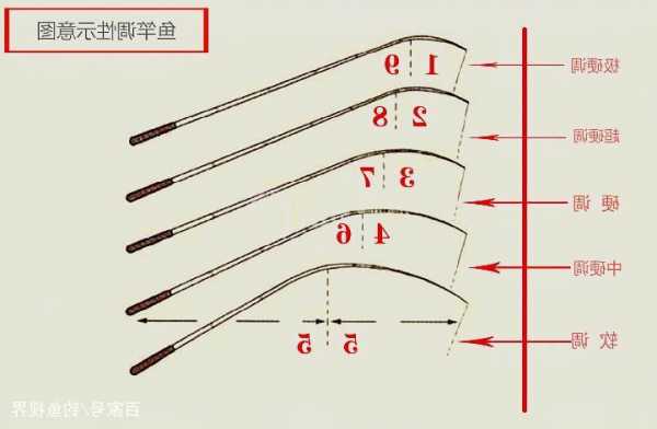 细鱼竿钓鱼怎么样，细鱼竿和粗鱼竿怎么选？-图1