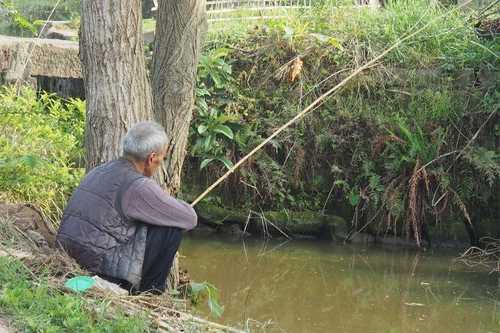 小溪边钓鱼怎么样，小溪边钓鱼怎么样啊-图2