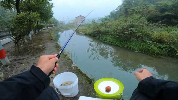 初夏冷水钓鱼怎么样，冷水钓鱼用什么饵料？-图2