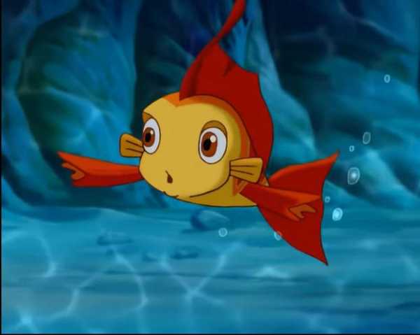 泡泡鲤钓鱼怎么样，泡泡鲤鱼是什么动画片-图2