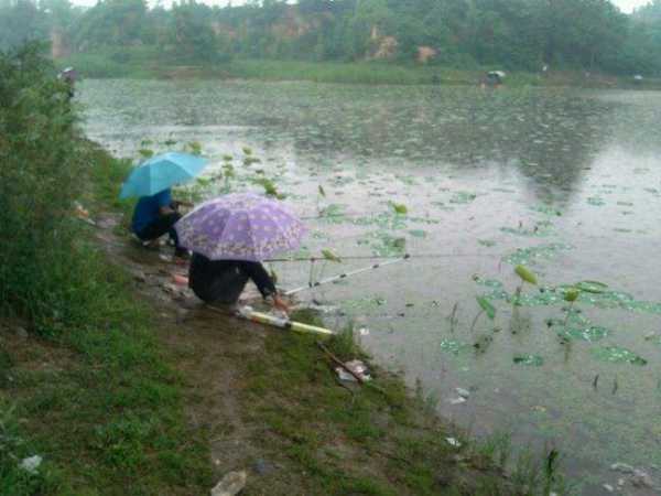 中伏雨后钓鱼怎么样？中伏下雨还热得起来吗？-图3