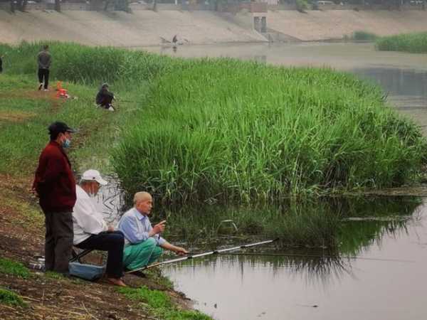 运河里钓鱼怎么样，运河 钓鱼！-图2