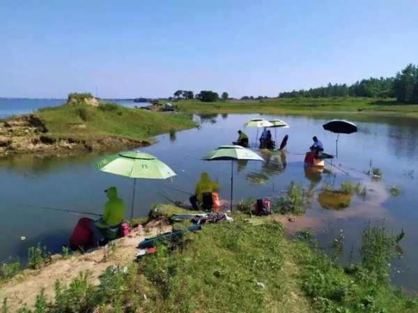 揭阳雨天钓鱼怎么样，揭阳今天的天气适合钓鱼吗？-图1