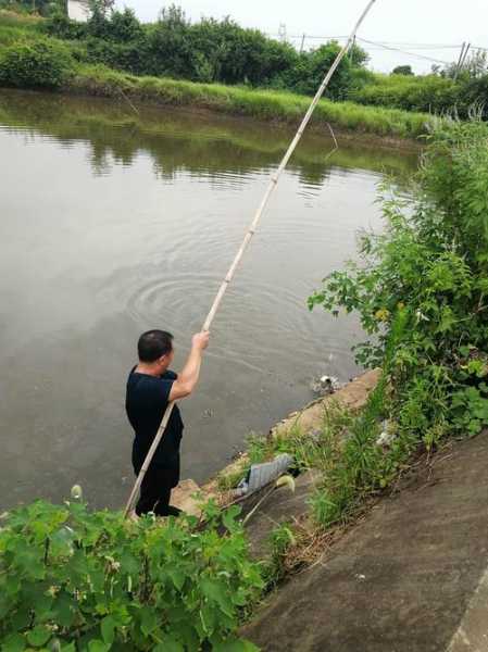 阴天钓鱼鱼口怎么样，阴天钓鱼鱼容易上钩?？-图3