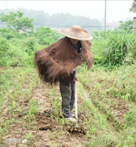 小陶湖口钓鱼怎么样，小陶湖口钓鱼怎么样呀-图1