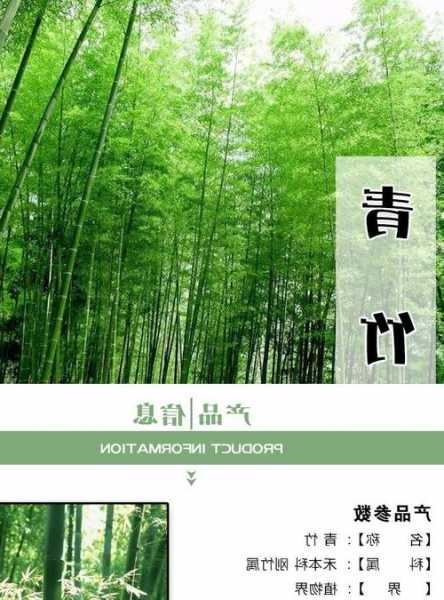 青竹大师钓鱼怎么样，青竹大师哪里有卖！-图3