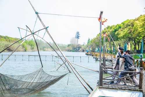 沙家浜外面钓鱼怎么样？沙家浜风景区垂钓休闲？-图2