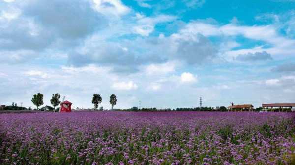 花海庄园钓鱼怎么样，花海庄园在哪个位置！-图2