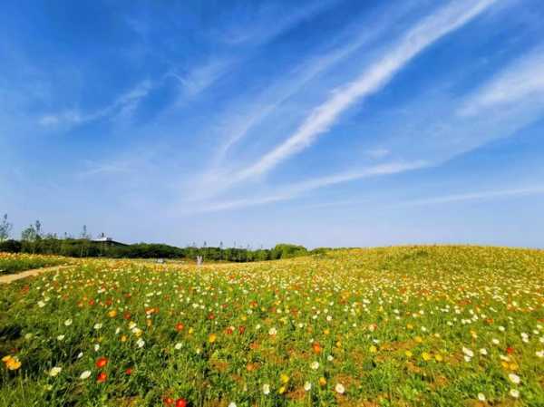 花海庄园钓鱼怎么样，花海庄园在哪个位置！-图1