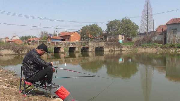 西岸闸口钓鱼怎么样？西岸闸口钓鱼怎么样好钓吗？-图2