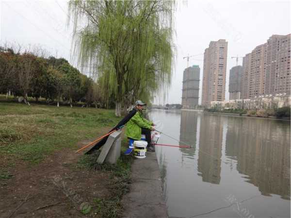 西岸闸口钓鱼怎么样？西岸闸口钓鱼怎么样好钓吗？-图3