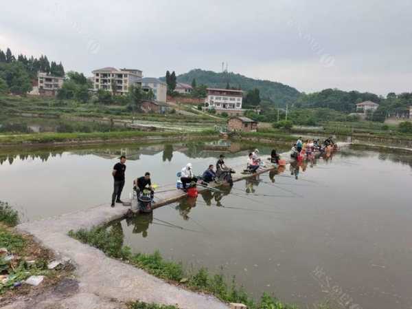 湖南娄底钓鱼怎么样，娄底哪里钓鱼-图2