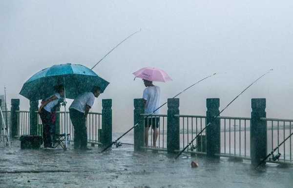 夏雨钓鱼效果怎么样，夏雨夏雨-图3