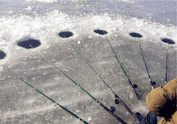 河水结冰怎么样钓鱼，河水结冰怎么样钓鱼最好？-图1