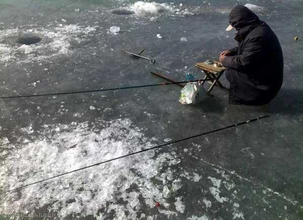 河水结冰怎么样钓鱼，河水结冰怎么样钓鱼最好？-图3