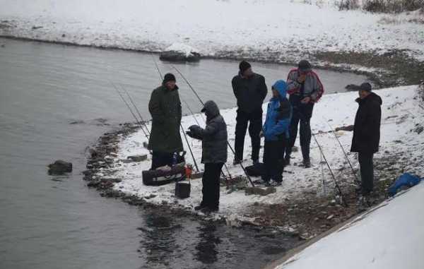 河水结冰怎么样钓鱼，河水结冰怎么样钓鱼最好？-图2