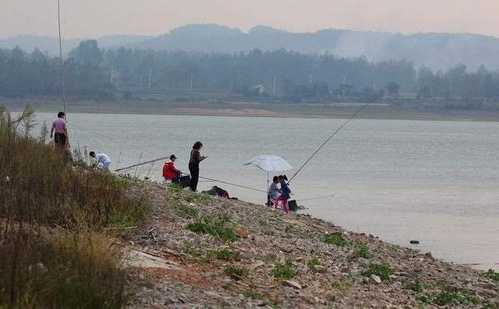 西门大坝钓鱼怎么样，西门大坝钓鱼怎么样好钓吗-图1