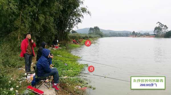 西门大坝钓鱼怎么样，西门大坝钓鱼怎么样好钓吗-图3