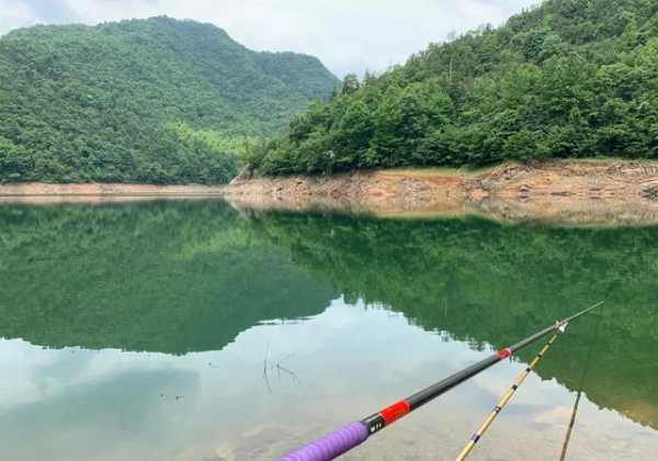 钓鱼人收入怎么样，钓鱼人收入怎么样啊-图1