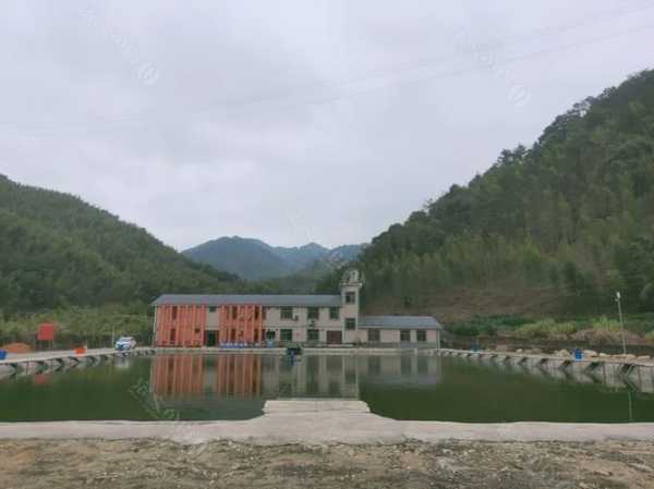 龙岩山里钓鱼怎么样，龙岩野钓地方-图1