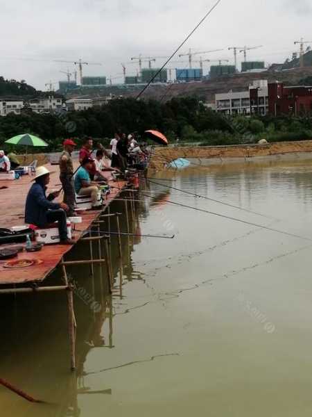 龙岩山里钓鱼怎么样，龙岩野钓地方-图3