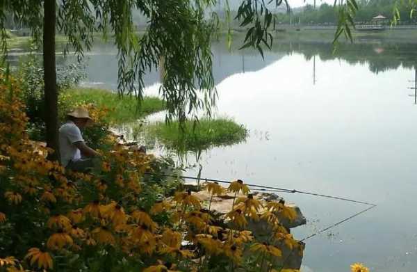 大兴夏天钓鱼怎么样，大兴野钓去哪条河？-图1