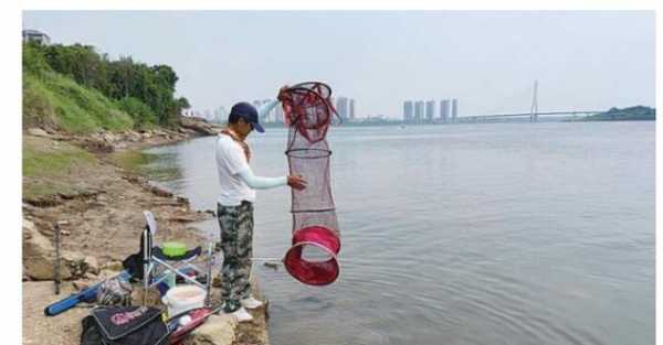 开封水厂钓鱼怎么样，开封水厂钓鱼怎么样好钓吗！-图1