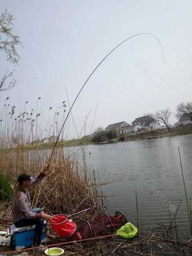 开封水厂钓鱼怎么样，开封水厂钓鱼怎么样好钓吗！-图3