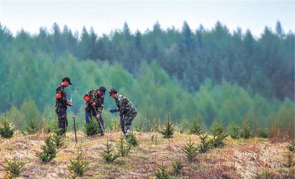 伟航直播钓鱼怎么样，伟航集团有限公司？-图3