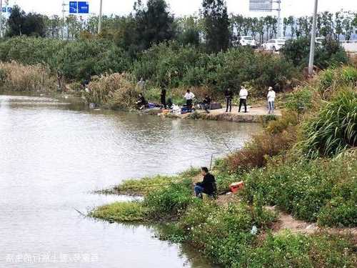 温岭明天钓鱼怎么样，温岭周边钓鱼野钓地点！-图1