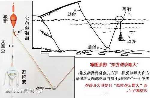 不用鱼钩怎么样钓鱼，不用钩钓鱼的原理？-图1