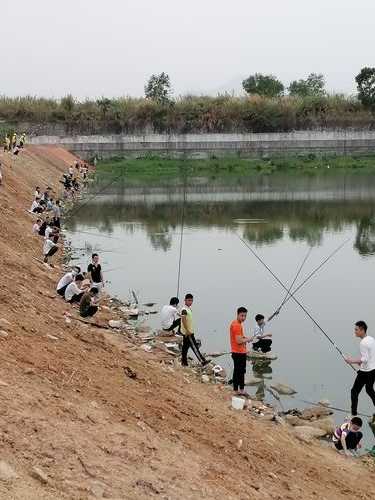 白马水库钓鱼怎么样？白马水库有什么好玩的？-图1