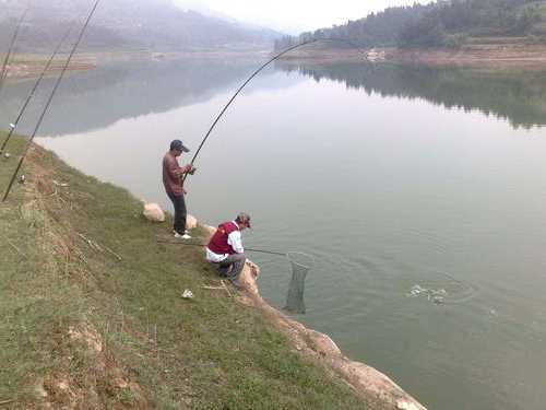新疆湖里钓鱼怎么样？新疆能钓鱼的水库？-图3