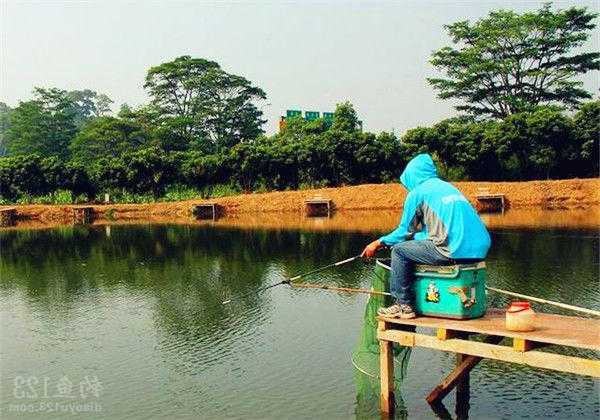 怎么样钓鱼可以挣钱，怎样赚钓鱼人的钱？-图2