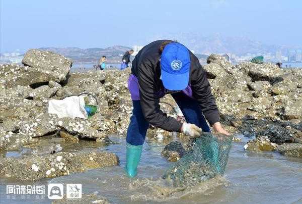 夏季赶海怎么样钓鱼，夏天赶海-图3