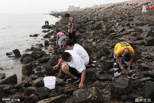 夏季赶海怎么样钓鱼，夏天赶海-图2