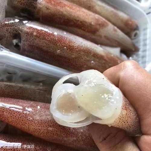 鱿鱼膏钓鱼怎么样，鱿鱼膏钓鱼怎么样好用吗？-图1