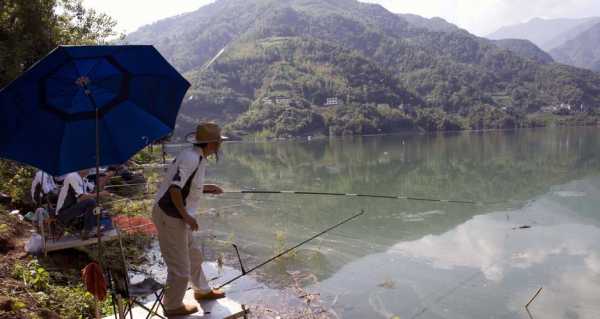 平和山里钓鱼怎么样，平和山里钓鱼怎么样啊！-图1