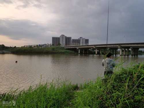 闽江公园钓鱼怎么样？闽江公园位于什么地方?？-图1