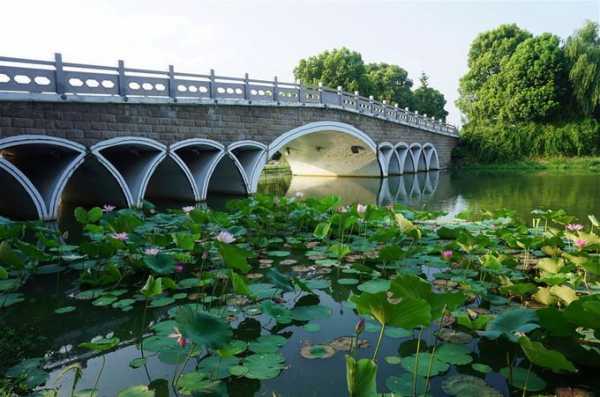 菱湖钓鱼平台怎么样，菱湖风景区门票是多少?-图1