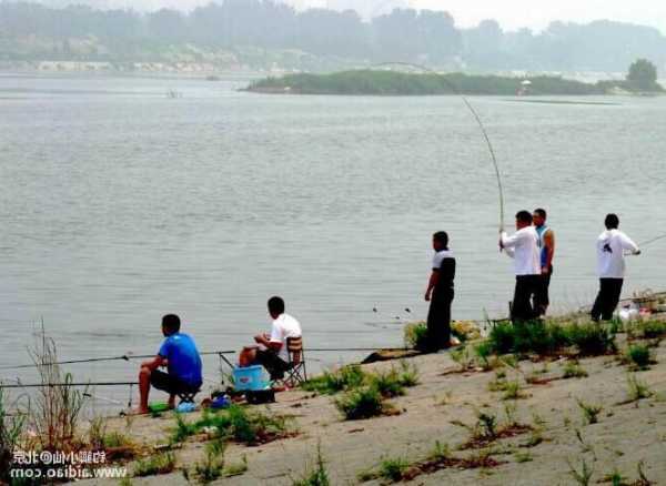 烟台退潮钓鱼怎么样，烟台退潮可以钓鱼吗！-图1