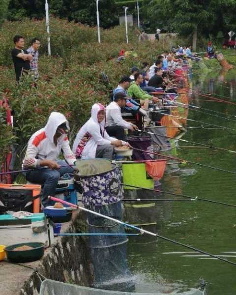 钓鱼场生意怎么样，做钓场生意好赚吗-图2