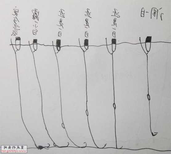盘车怎么样钓鱼？盘车钓法线组视频教程？-图3