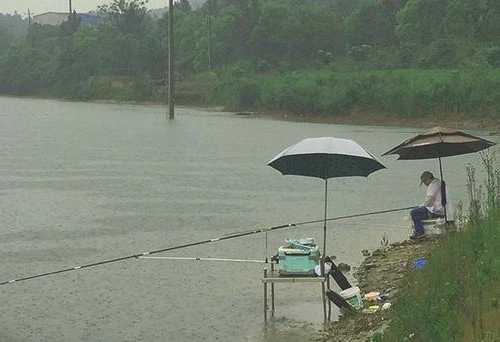 水塘桥底钓鱼怎么样，水塘里钓鱼沉底还是不彻底！-图1